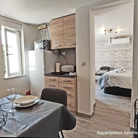 Villa Sejour En Famille Ou Entre Amis: Sauna, Billard Bains-les-Bains