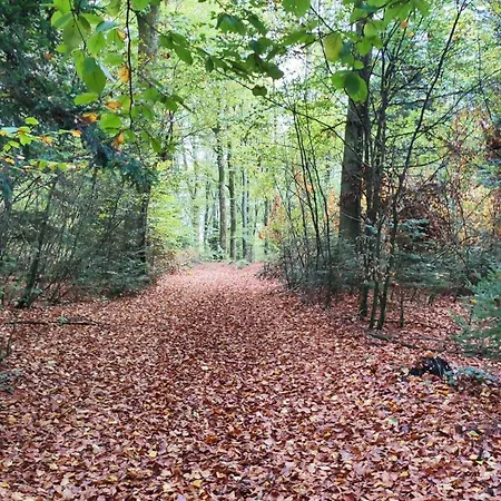 Privatisation Totale Pour Sejour Groupe - Confort, Espace & Convivialite Vila *