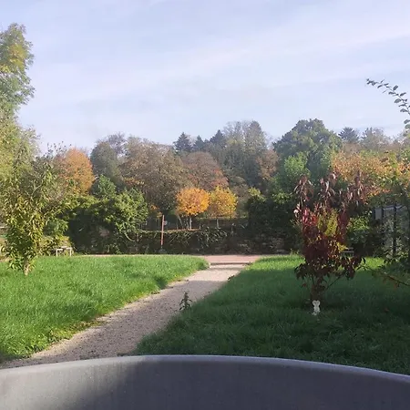 Villa Sejour En Famille Ou Entre Amis: Sauna, Billard Bains-les-Bains