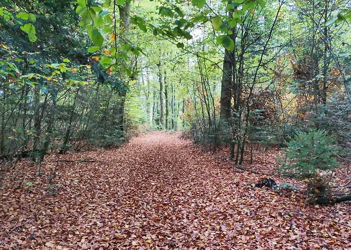 Privatisation Totale Pour Sejour Groupe - Confort, Espace & Convivialite Vila *